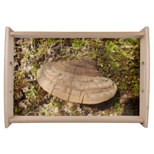 Phellinus igniarius Mushroom Serving Tray