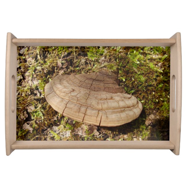Phellinus igniarius Mushroom Serving Tray (Front)