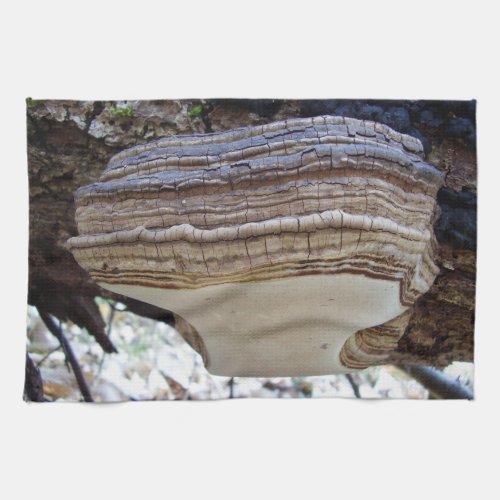 Phellinus igniarius Mushroom Tea Towel