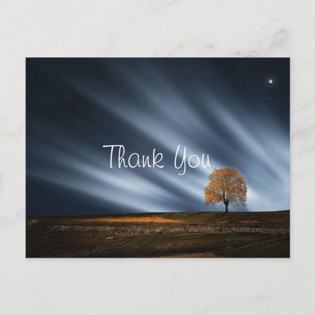 Phenomenal Sky Sunset Thank You Postcard (Front)
