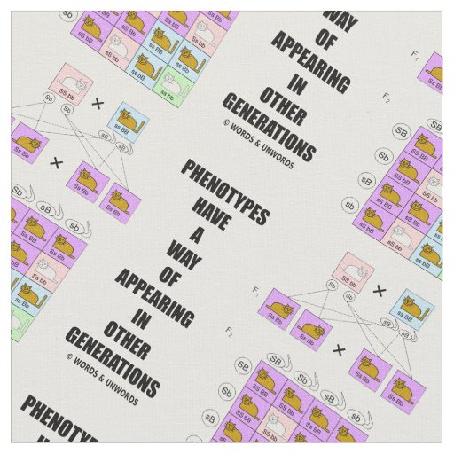 Phenotypes Way Of Appearing Generations Cats Fabric