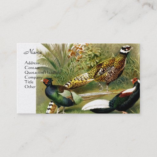 Customizable Phesants 2 business card templates