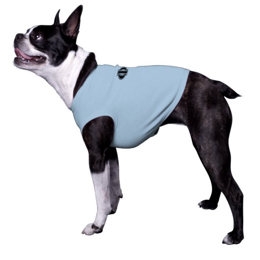 Phi Kappa Sigma Black Letters T-Shirt (Side)