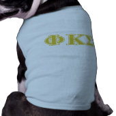 Phi Kappa Sigma Gold Letters Tee (Back)