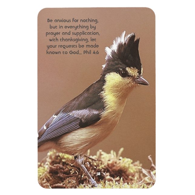 "Phil 4:6" Anxiety Contentment prayer faith Magnet (Vertical)
