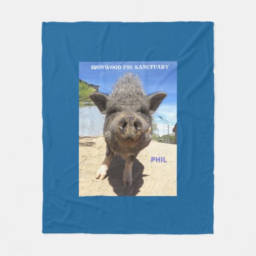 Phil Blanket to go with your Phil_Low