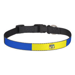 Philadelphia city flag pet collar