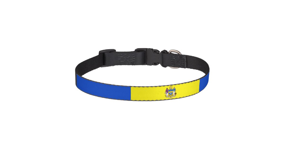 Chicago Flag Dog Leash 1 Thick