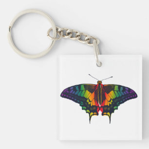 Philadelphia Rainbow Pride Flag Swallowtail Keychain