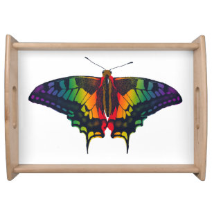 Philadelphia Rainbow Pride Flag Swallowtail Serving Tray