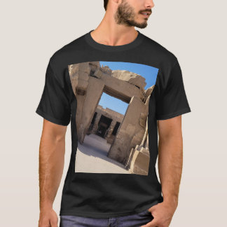 Philae Temple, Aswan, Egypt t-shirt