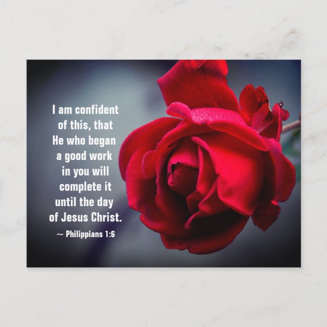 Philippians 1:6 I am confident of this Bible Verse Postcard (Front)