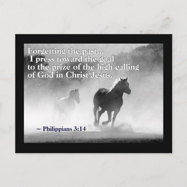 Philippians 3:14 I press toward the goal, Horses Postcard (Front)