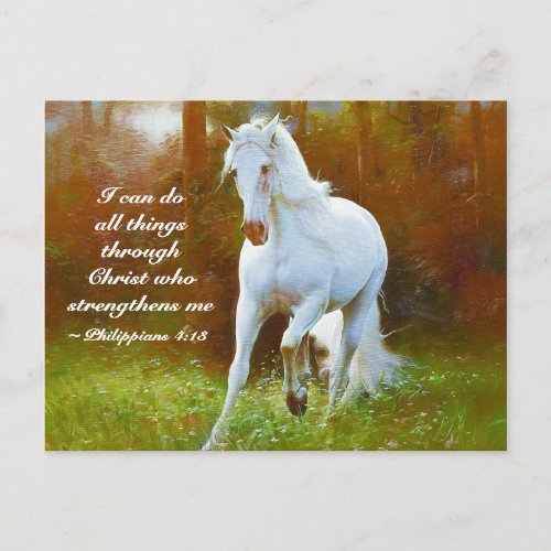 Philippians 413 All things through Christ Horse Postcard