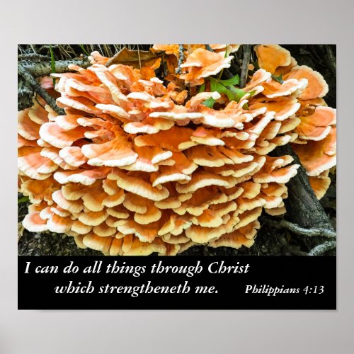 Philippians 413 Bible Verse Poster