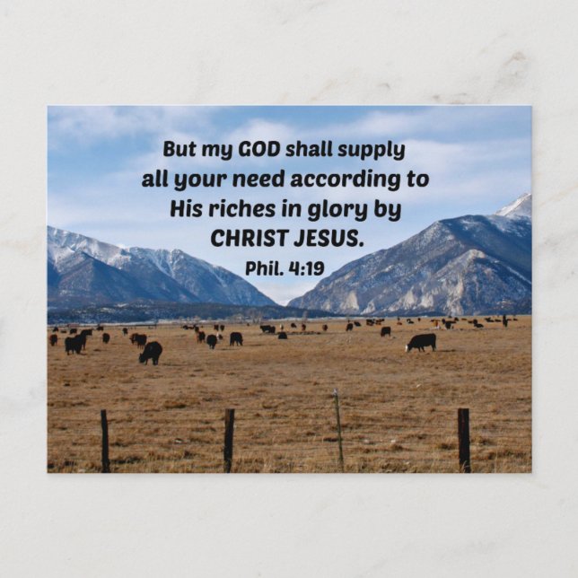 Philippians 4:19 postcard (Front)