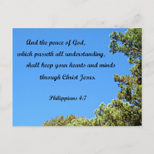 Philippians 47 And the peace of God Postcard
