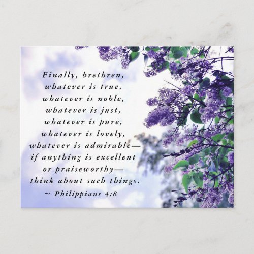 Philippians 48 Whatever is Noble Bible Verse Postcard