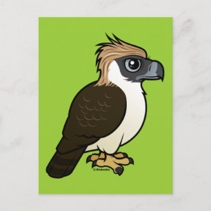 Philippine Eagle Postcard