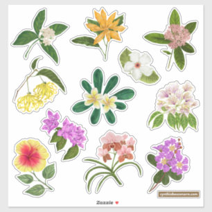 Philippine Garden Flowers Sticker