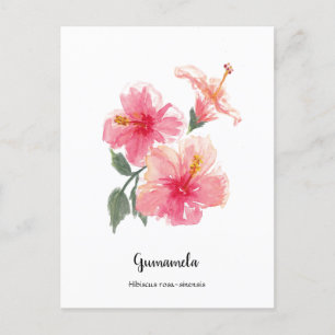 Philippine Gumamela Hibiscus Watercolor Poster Holiday Postcard