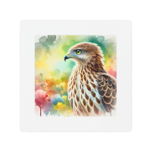 Philippine Honey Buzzard 270924AREF125 - Watercolo Metal Print
