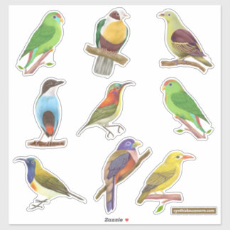 Philippine Native / Endemic Birds Sticker