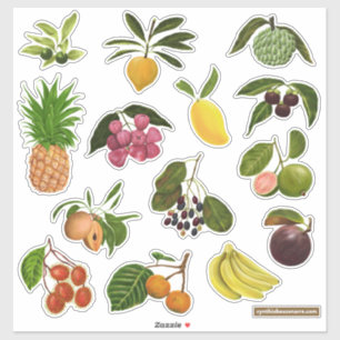 Philippine / Tropical Fruits Sticker