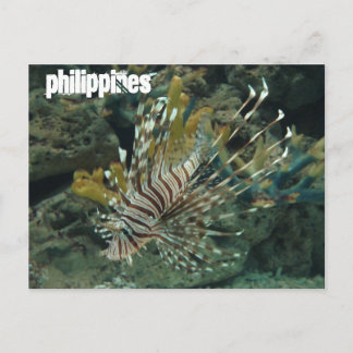 Philippines Postcard