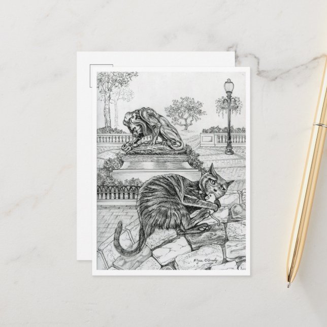 Philly Cat in Rittenhouse Postcard (Front/Back In Situ)