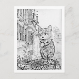 Philly Cat near Academy of Natural Sciences Postcard