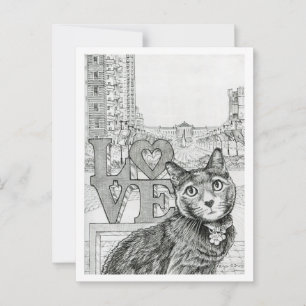 Philly Cat near Ben Franklin Parkway Postcard