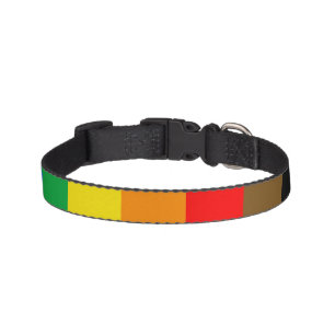 Philly Rainbow Pride Flag Pet Collar