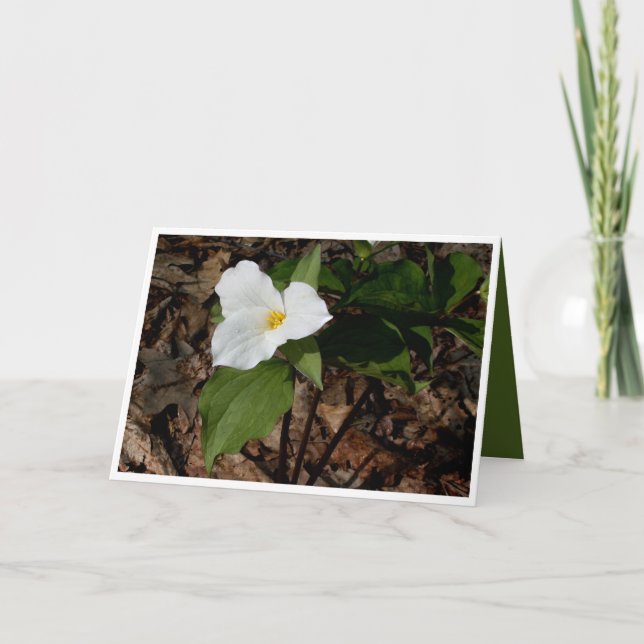 Philosophical flower trillium greeting card (Front)