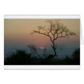 Phinda Sunset (Front Horizontal)