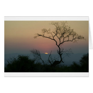 Phinda Sunset Cards