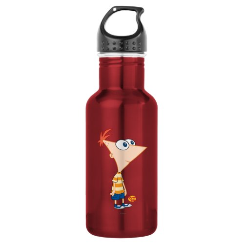 Phineas and Ferb Standing Stainless Steel Water Bottle