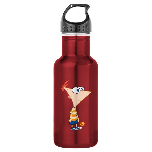 Phineas and Ferb Standing Stainless Steel Water Bottle (Front)