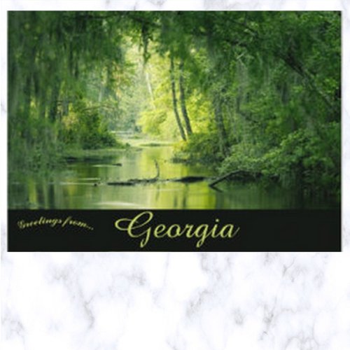 Phinizy Swamp Augusta Georgia USA Postcard