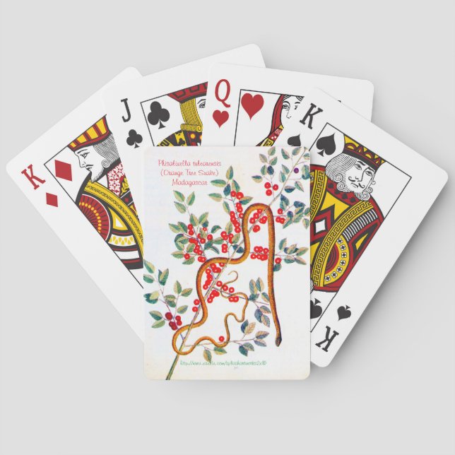 Phisalixella variabilis poker cards (Back)