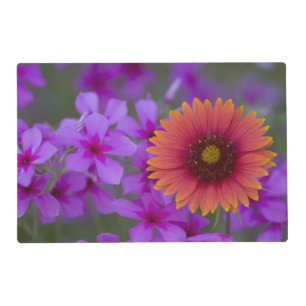 Phlox and Indian Blanket near Devine Texas Placemat
