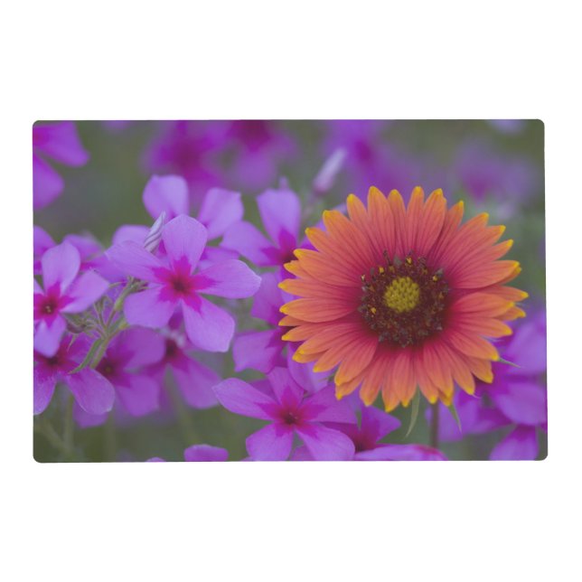 Phlox and Indian Blanket near Devine Texas Placemat (Front)
