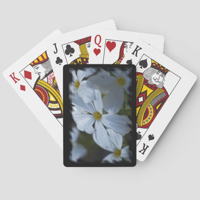 Phlox  Black Edge Poker Cards (Back)