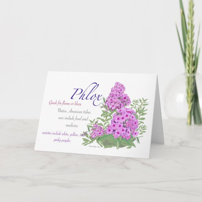 Phlox Blank Card (Front)