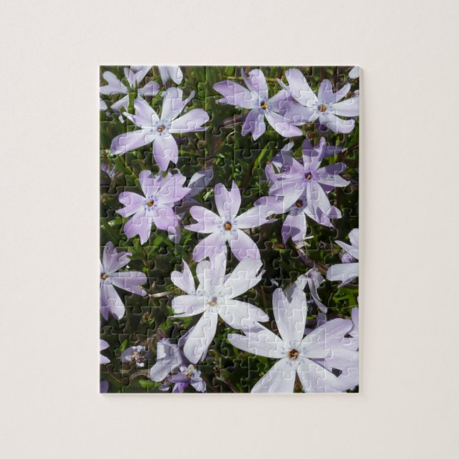 Phlox flower jigsaw puzzle (Vertical)