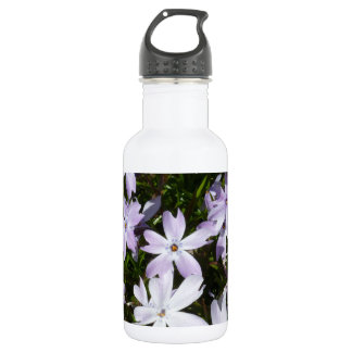 Phlox flower stainless steel water bottle
