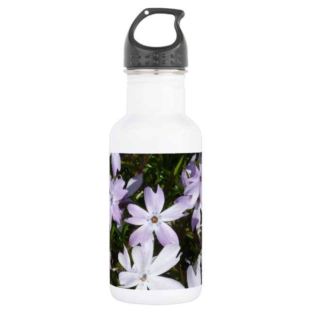 Phlox flower stainless steel water bottle (Front)