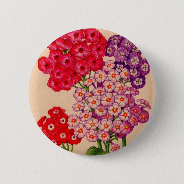 phlox in pink, red and lavender button (Front)