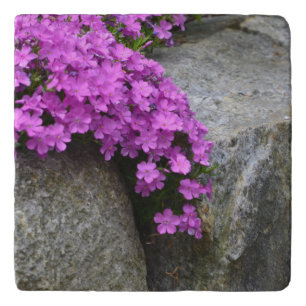 Phlox On Rocks Trivet