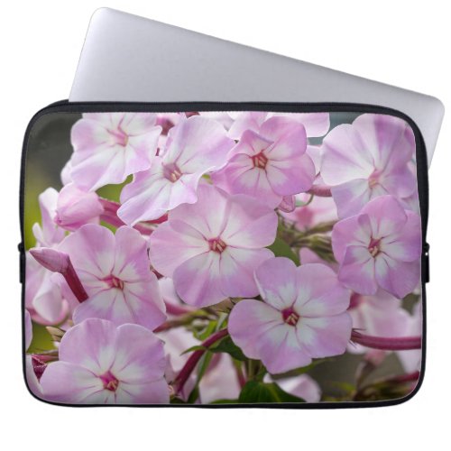 Phlox Pink Flower Photography Laptop Sleeve
